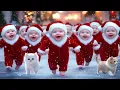 Lagu Jingle Bells Christmas Song 2025 | Kids \u0026 Toddlers Dance with Neela Tota
