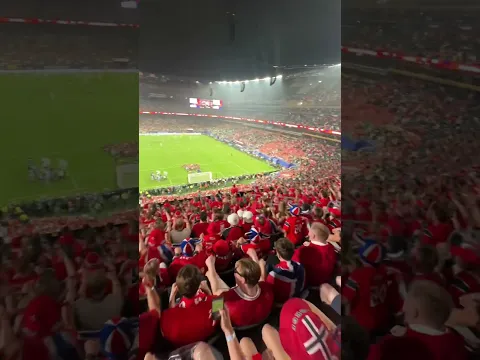 The energy at the game was unreal!! Are they the nr. 1 fans of the world cup right now?? #worldcup