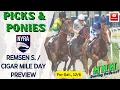 REMSEN S CIGAR MILE Late P5 at AQUEDUCT Picks Ponies Ep 444