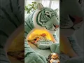 Download Lagu A woman relaxes like a friendly tiger, #ai #shortvideo #youtubeshorts