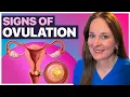 Cervical Mucus Explained The REAL Signs of Ovulation You Might Be Missing