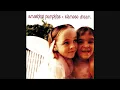 Smashing Pumpkins - Disarm HD