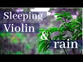 Lagu Sleeping Violin with Rain and Thunder  | Human Music