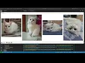 Matplotlib Plotting Single Multiple Images Made Easy