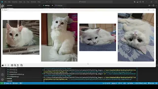 Matplotlib Plotting Single Multiple Images Made Easy