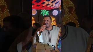 اتنين ميتلاموش المجنون والناسي   محمود سليم دندنها