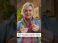 Download Lagu All you need to know about caring for air plants #airplants #airplant #houseplants #houseplant #fyp