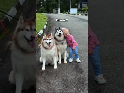 NADA QUE UM PETISCU NÃU RESOLVA