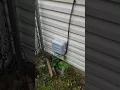 Comcast Fails