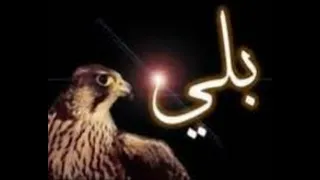 اغنية احنا بلي اهداء لمحمد خلف البلوي اداء محمد البصيلي دندنها