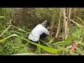 Download Lagu Mikat Burung Ruwak Ruwak Part-1