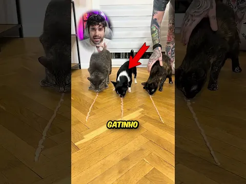 Quem come mais rápido??