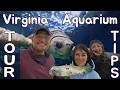 Virginia Aquarium Marine Science Center March 2023 Tour Tips