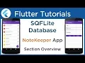 Flutter SQFLite Database Tutorial Implement SQLite database with example Section Overview 1