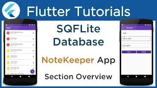 Flutter SQFLite Database Tutorial Implement SQLite database with example Section Overview 1