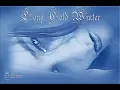 Lagu Cinderella - Long Cold Winter