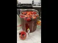 Download Lagu Sangria Jungle Juice #shorts