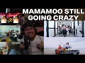Download Lagu MAMAMOO REACTION | Moonbyul - ICY BBY, Solar - Floating Free, Hwasa 1st FANCON BTS, Wheein Covers