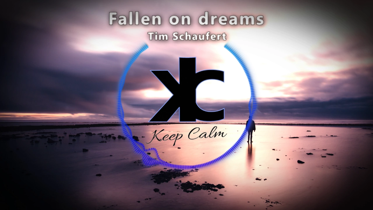 Tim Schaufert - Fallen On Dreams