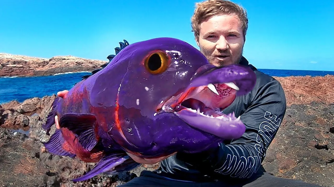 15 PECES Más Mortíferos y Peligrosos del MUNDO (Si ves este Pez Aniquilador,huye o te arrepentirás)
