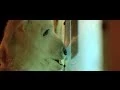 Download Lagu Vance Joy - Mess is Mine [Official Video]