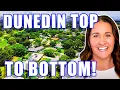 ALL ABOUT Living In Dunedin Florida 2023 Moving To Dunedin Florida Dunedin FL Real Estate