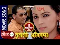Download Lagu Tulsi Aanganma | Bato Muniko Phool | Baboo Bogati | Nandita KC | Yash Kumar | Rekha Thapa