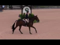 Delphina DF Hannah Selleck young hunter WEF 8