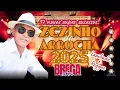 Download Lagu Zezinho do arrocha Brega 2025