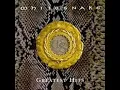 Whitesnake - Love Ain't No Stranger