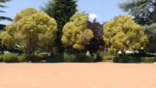 ho visto lamore nei tuoi occhi