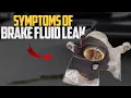 5 Symptoms of Brake Fluid Leak How to Diagnose