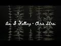 "Am I Falling?" - Chris Strei - Lyrics Video
