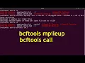 variant calling with bcftools bcftools mpileup bcftools call