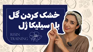 آموزش صفر تا صد خشک کردن دسته گل با سیلیکا ژل گل جاودانه بساز 