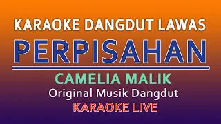 Download PERPISAHAN CAMELIA MALIK - KARAOKE DANGDUT LAWAS NO VOKAL MP3