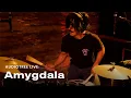 Lagu Amygdala - Forever Love | Audiotree Live
