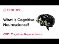 What is Cognitive Neuroscience The Learning Brain Teacher CPD