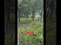 Download Lagu Slender Man Caught on Camera in Real Life – You Won’t Believe This!