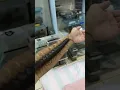 Download Lagu Giant centipede crawls along man's arm