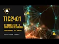 TIC2401 Introduction to Computer Systems Zoom Lesson 1