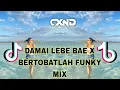 DJ DAMAI LEBE BAE X BERTOBATLAH FUNKY FYP TIKTOK
