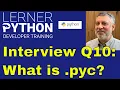 Python interview question What are pyc files
