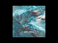 Davis & Zopelar - Limba /// CNS089