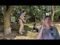 Download Lagu FDSA Webinar Crystal Wing BAG of TRICKS: Mindsets in Dog Training and How to Shift Them