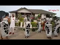 Download Lagu Nana Ama ft Naa Agyemang - Kwahu Bepo(live band) u must watch