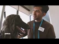 Petco Professional Dog Grooming Guest Testimonial Rookie the Afghan