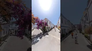 Vakre Mogan