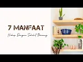 Download Lagu MINIMALISM || 7 MANFAAT HIDUP DENGAN SEDIKIT BARANG
