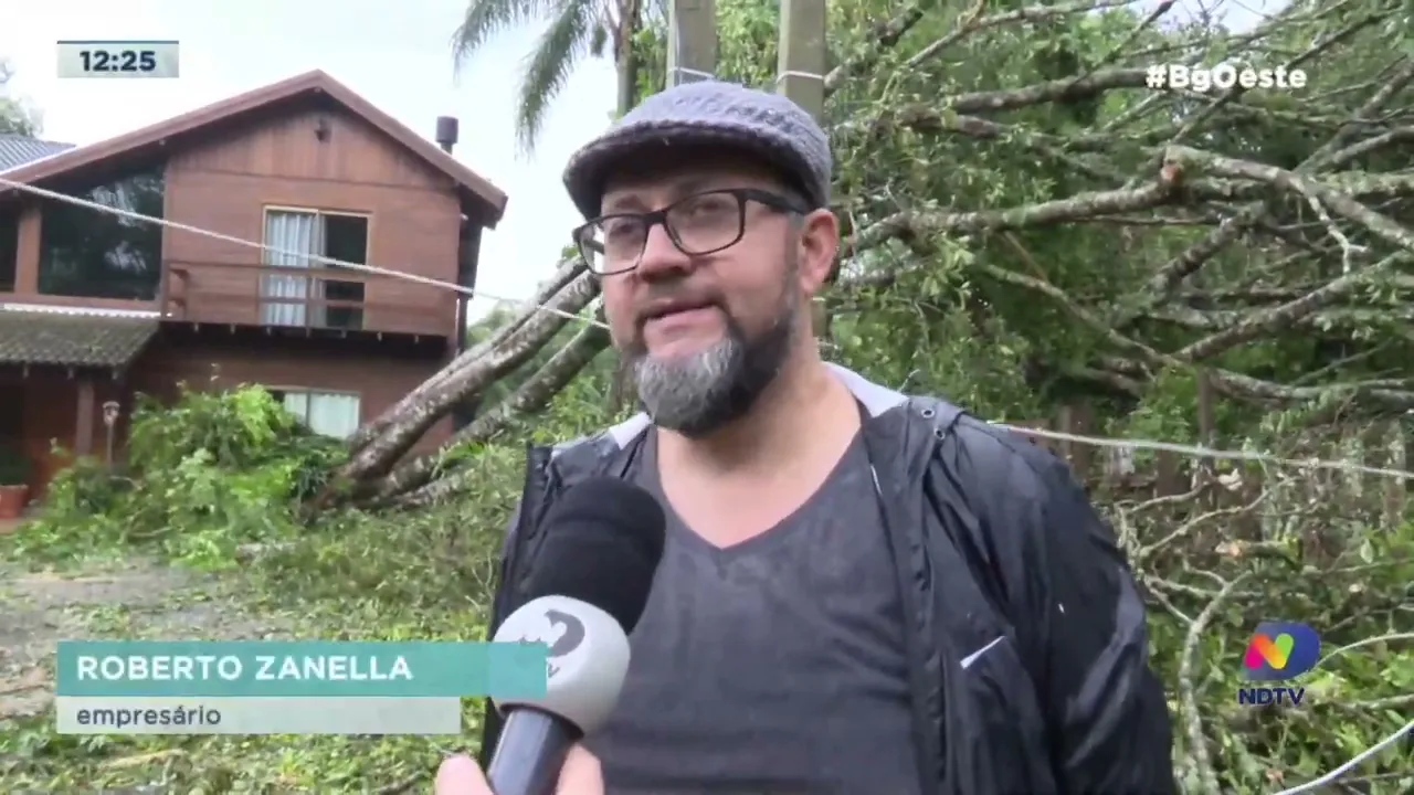 Temporal derrubou centenas de árvores e atingiu casas de um condomínio em Chapecó